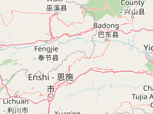 地图